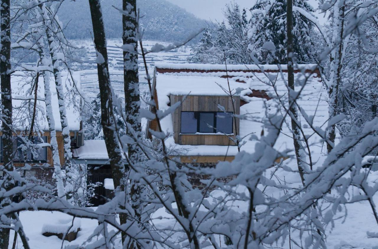Le Grand Petit Prince - Domaine De Charme - Jacuzzis Privatifs Guebwiller Kültér fotó