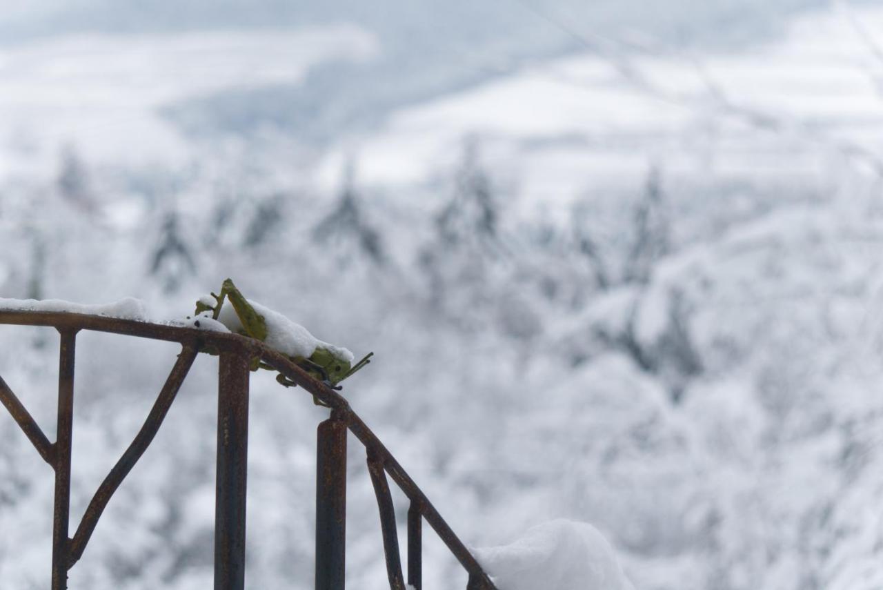 Le Grand Petit Prince - Domaine De Charme - Jacuzzis Privatifs Guebwiller Kültér fotó