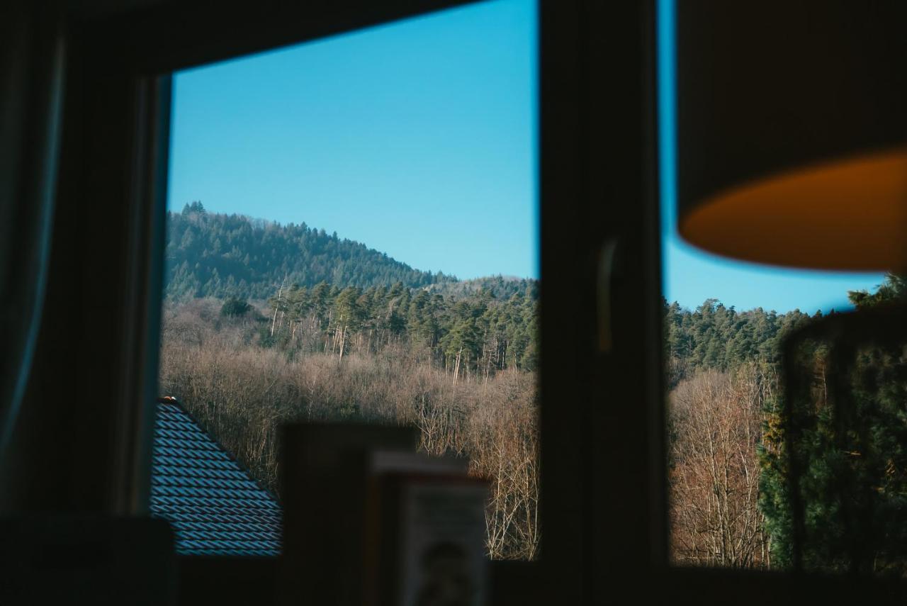 Le Grand Petit Prince - Domaine De Charme - Jacuzzis Privatifs Guebwiller Kültér fotó